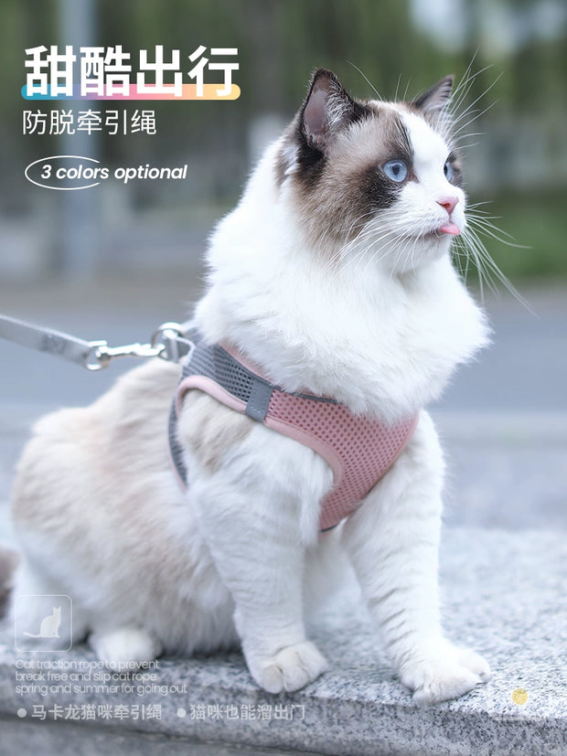 Summer Cat Leash Vest - Kenny Pet