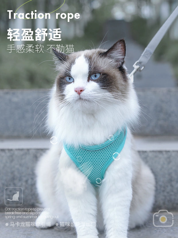 Summer Cat Leash Vest - Kenny Pet