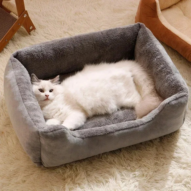 Cushioned Kitten House Beds - Kenny Pet