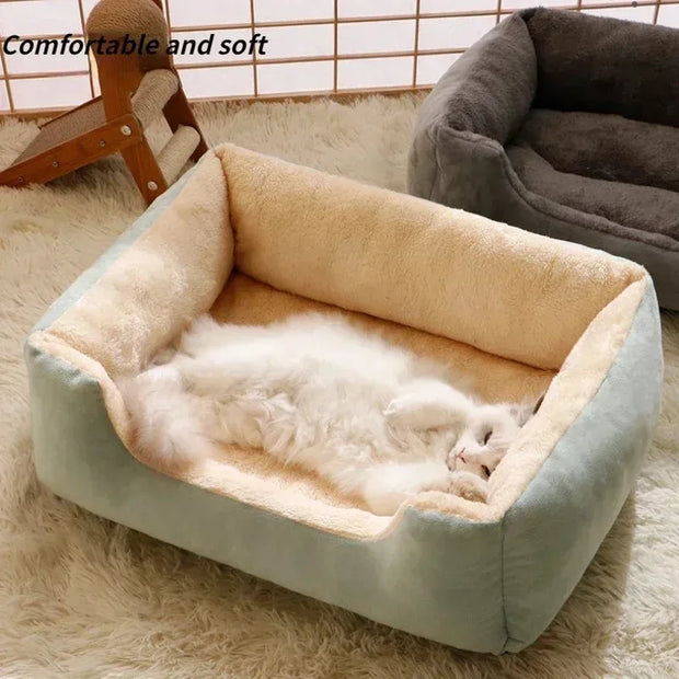 Cat bed lazada best sale