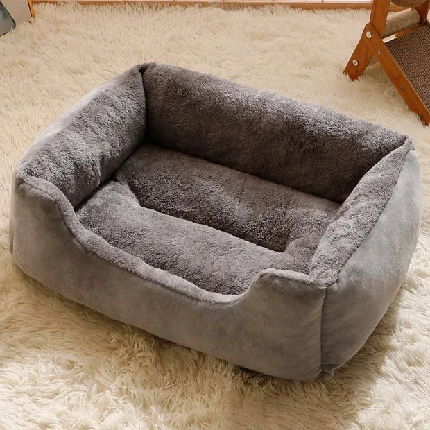 Cushioned Kitten House Beds - Kenny Pet