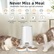 Automatic Cat Feeder Food Dispenser - Kenny Pet