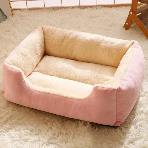 Cushioned Kitten House Beds - Kenny Pet