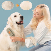 Electric Spray Dog Brush - Kenny Pet