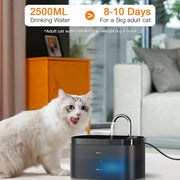 Automatic Electric Water Dispenser - Kenny Pet