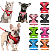 Breathable Mesh Puppy Harness - Kenny Pet