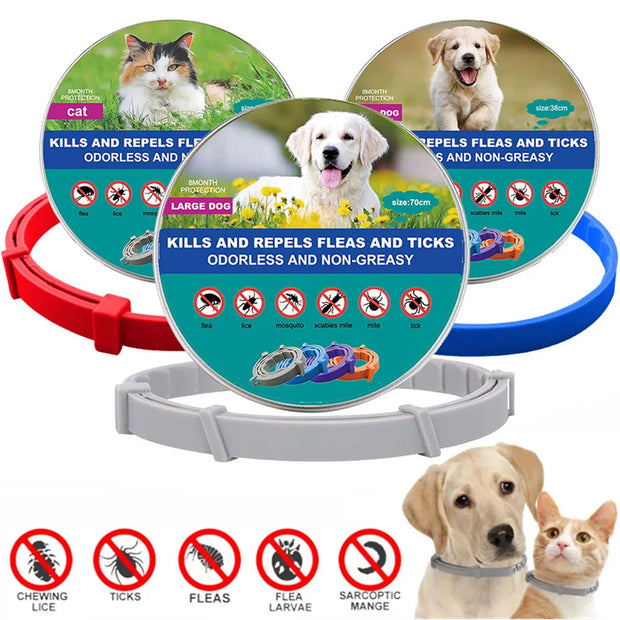 New Anti-Flea Pet Dog Collar - Kenny Pet