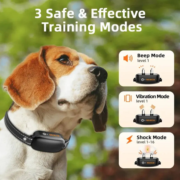 ROJECO Dog Training Collar - Kenny Pet