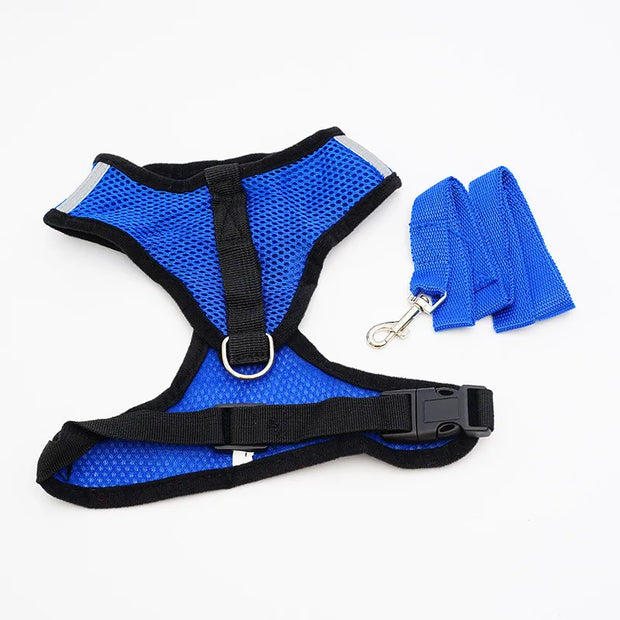 Breathable Mesh Puppy Harness - Kenny Pet